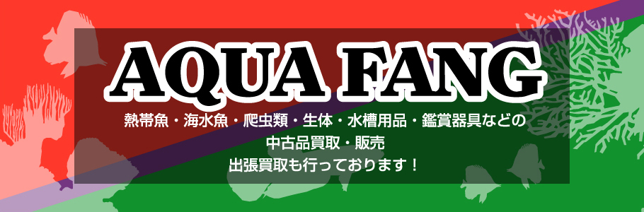 熱帯魚・海水魚・爬虫類・生体・水槽用品・鑑賞器具などの中古品買取・販売・出張買取も行っております!